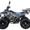 110cc 125cc Cheap ATV Quad For Sale, ATV For Kids With Manual Reverse Gear, Full Auto Clutch