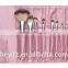 2016 Wooden Handle Pink Travelling 10PCS Lightning Pattern Makeup Brush Set