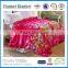 Supply customer beach blanket round