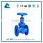 Drawing of Control Globe Valve