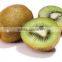 Fresh qinmei kiwi with best price for sale