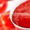 Tomato Paste with best price for sale
