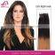 Top Notch tape in hair extensions toronto