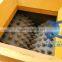 High quality four toothed roll crusher machine from Yugong Factory
