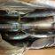 Newly caught WR frozen bonito tuna 300-500g.