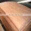 red olive veneer for 2016