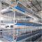 Durable Automatic Hot Dip Galvanized Layer Poultry Cage
