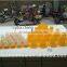 Small size Drinker for chickens hotsale in Russia (lydia chang : 0086.15965977837)