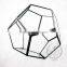 20*20*17cm geometric 12 face cutting glass terrarium flower arrangement air plant planter greenhouse home decoration 0100019