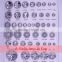 buttons transparent new design chinses supplier