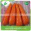 Fruits and vegetables import fresh carrot exporter