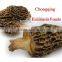 wild good quality morchella conica mushroom with delivery timely