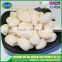 Frozen IQF peeled white garlic cloves ,Europen market
