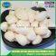 Frozen IQF peeled white garlic cloves ,Europen market