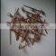 Disposable Bamboo Skewers, Red Bamboo Fruit Skewers