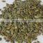 pumpkin oil seeds GWS pumpkin seeds kernel