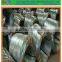 Anping Factory Cheap Hot Dipped Galvanize Wire/Galvanized Iron Wire/Binding Wire