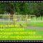 Green Power Coated hinge joint field fence /cattle fence/deer fencing supply