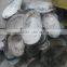 China freshwater shell material raw mother of pearl river shells