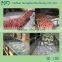 ultrasonic fruit vegetable washer