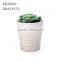 big lines concrete garden ourdoor balcony flower plant pot