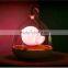 Dimmable Lamp 3d Bird LED Night Light with Rotary Handle and Battery,in Indoors and Outdoors Color Pink