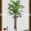 Artificial Mini palm trees and palm tree landscaping