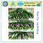 Food Grade PE Rose Bud Net