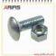 Carriage Bolts