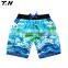 Sports Surf Board Beach Shorts