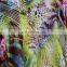 Color Combinations for Sofa Set 100% Rayon Printing Fabric for Curtainfabric