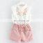 baby boutique clothing wholesale summer girl clothing set