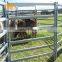 Australia cattle farm equipment cheap cattle panels for sale