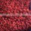 Promotion of New Crop 10 * 10MM IQF Fresh  frozen Purple  beet root dice
