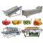 Automatic Air Bubble Industrial Aquatic Product Apple Tomato Washing Washer Machine