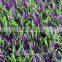 Green and Purple Combined Color of Fake Grass Artificial Grass