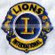 different colors lion logo custom embroidery patches iron on cloth