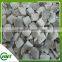 Wholesale Delicious Iqf/frozen Oyster Mushroom Dices