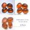 102.50 Ct Orange Star Sapphire 6 Rays Lab Created Stone