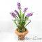 garden decoration artificial Hyacinth fake flower bonsai landscaping flower bonsai narcissus