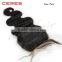 Ceres Hair 130% Density Middle Part u part Body Wave virgin hair bundles with Free Parting Lace Closure                        
                                                Quality Choice