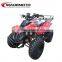 4 Wheel 800w Cheap Price ATV For Adults