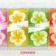 7g,8g,20g tea light candles