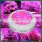 Cheap Round 60 *3W Plant Grow Led Light Supplement Lamp