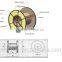Unitube Light-armored GYXTW outdoor PE Sheath fiber optical cable