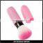 Retractable Blush Brush With Lovely Pink Handle Pink Hair Cosmetic Brush With Round Shape Cap