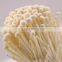Fresh mushroom/Fresh Enoki for sale