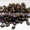 Chinese Best Quality Hot Sale Black Melon Seed