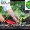 Organic Fertilizer