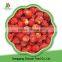 New Crop Iqf Frozen Strawberry/good Frozen Berry Fruits Supplier From China